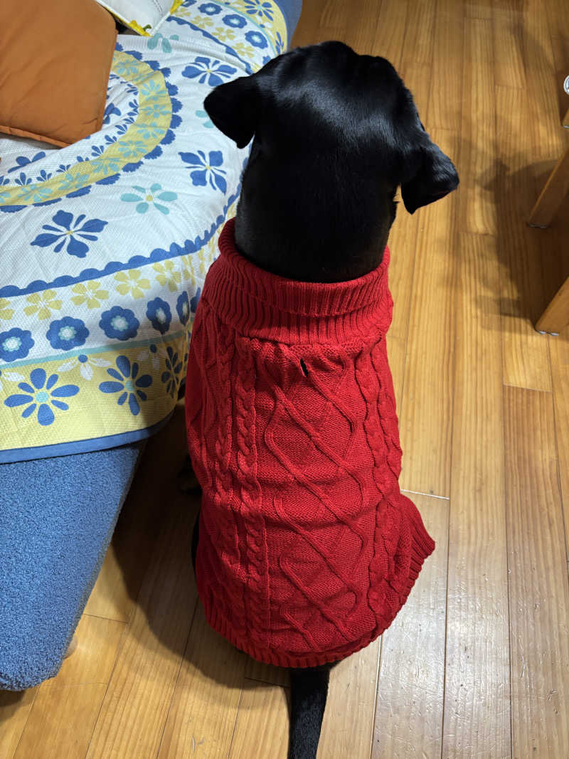 あやまとさんの癒しの里 さらい 湯の華のサ活写真