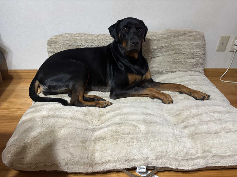 あやまとさんの癒しの里 さらい 湯の華のサ活写真