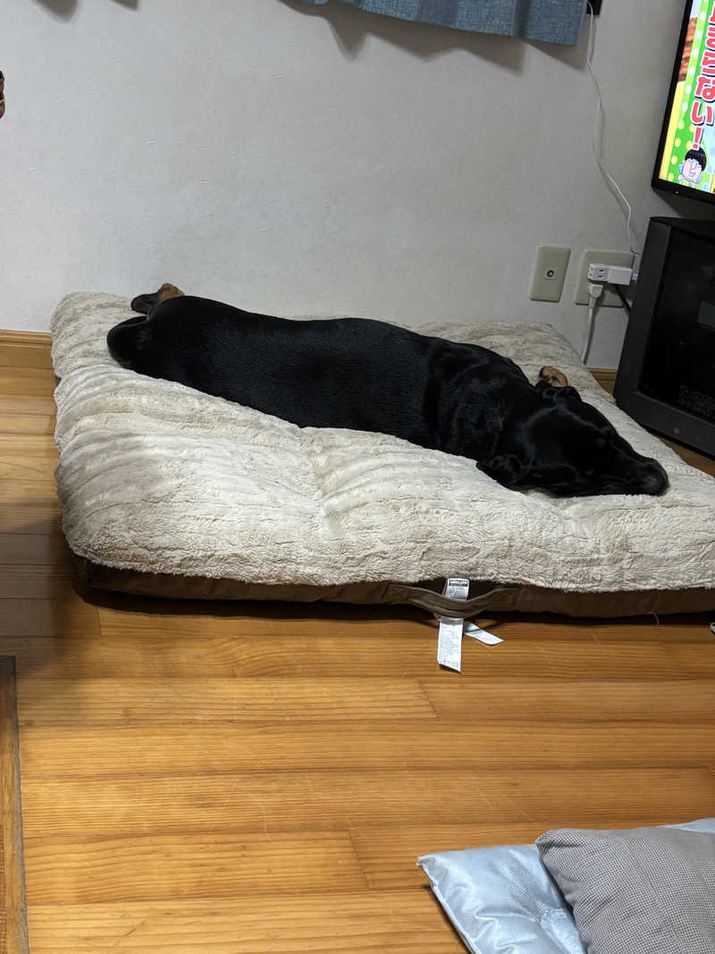 あやまとさんの癒しの里 さらい 湯の華のサ活写真