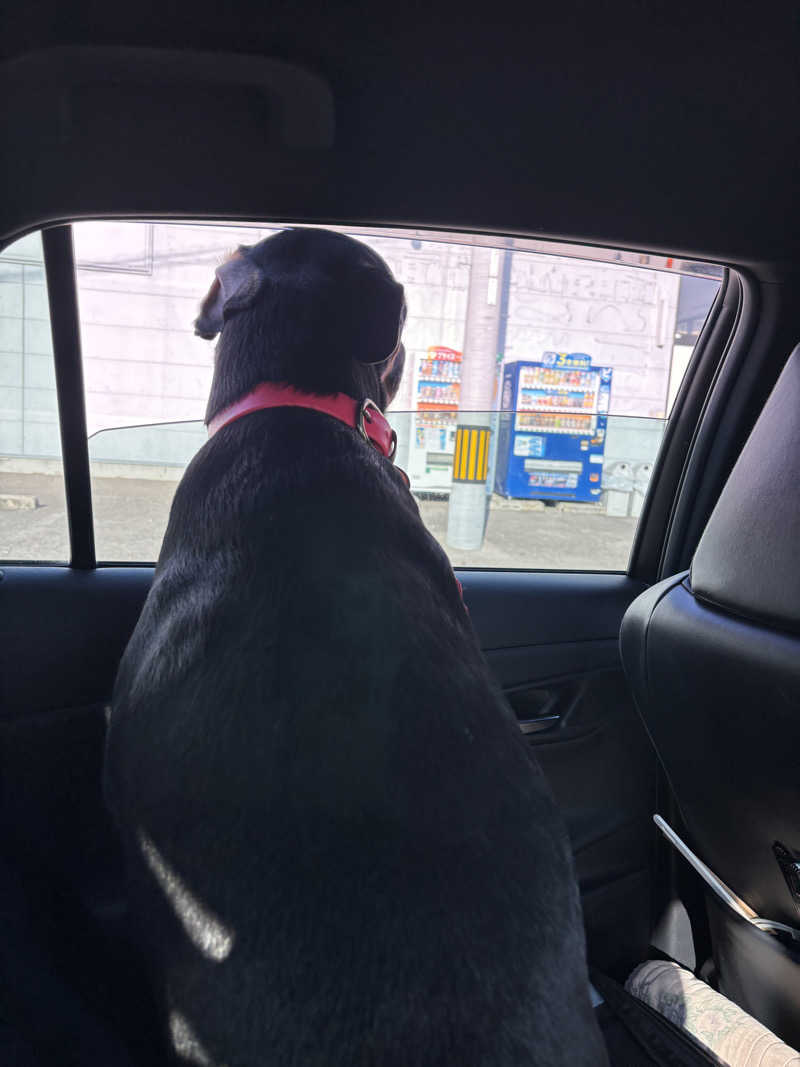 あやまとさんの瀬戸大橋四国健康村のサ活写真