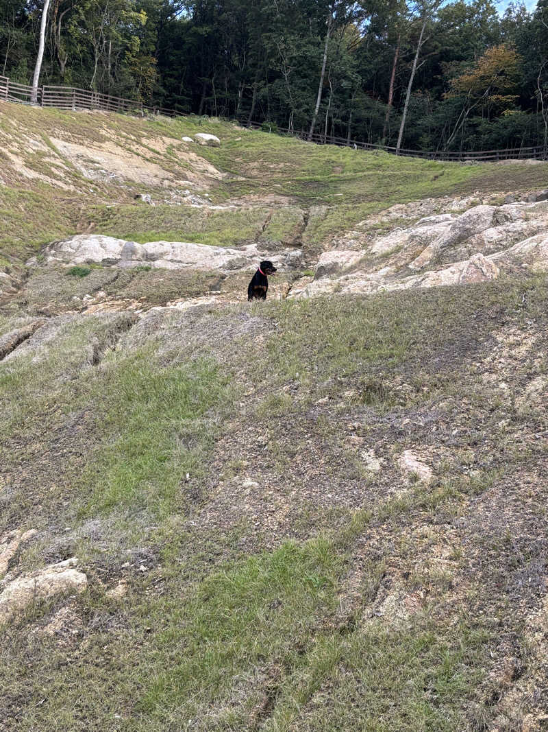 あやまとさんの瀬戸大橋四国健康村のサ活写真