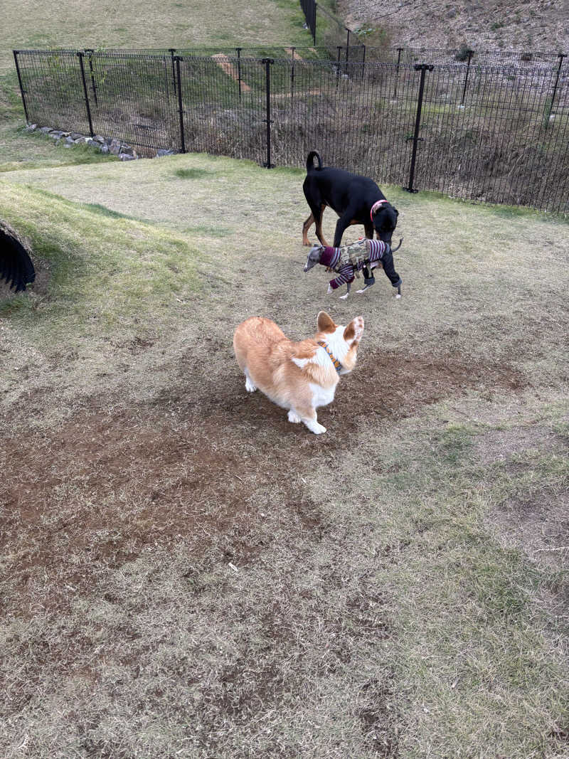 あやまとさんの瀬戸大橋四国健康村のサ活写真
