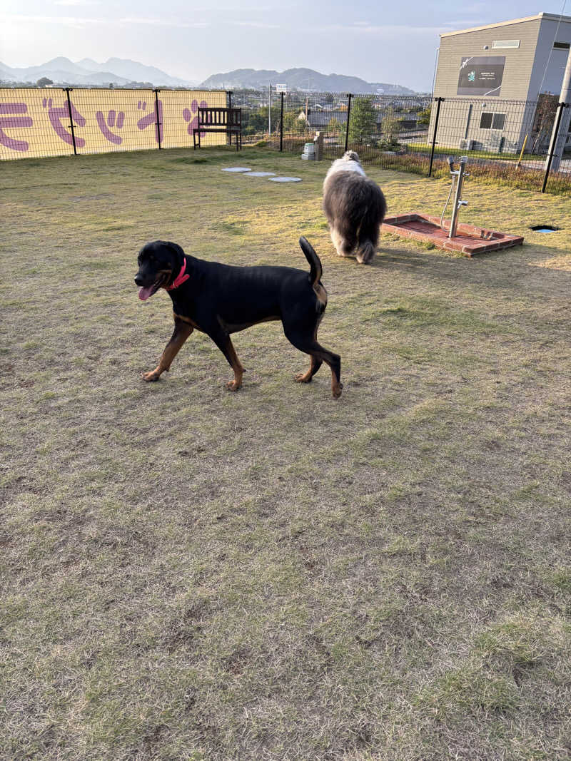 あやまとさんの瀬戸大橋四国健康村のサ活写真