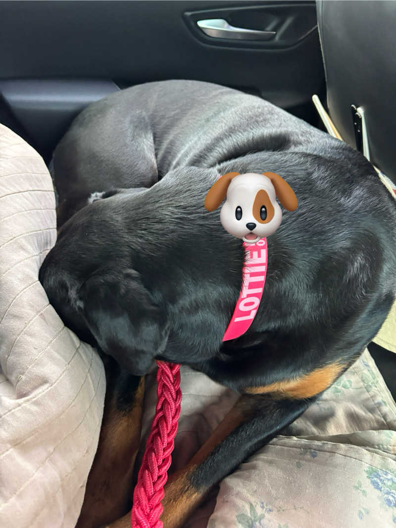 あやまとさんの瀬戸大橋四国健康村のサ活写真