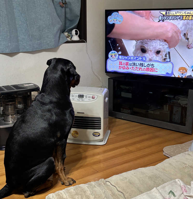 あやまとさんの瀬戸大橋四国健康村のサ活写真