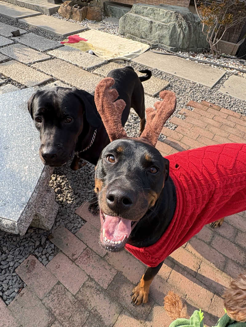 あやまとさんの癒しの里 さらい 湯の華のサ活写真