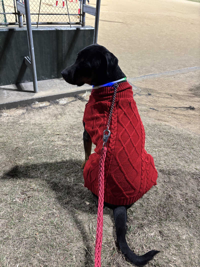 あやまとさんの瀬戸大橋四国健康村のサ活写真