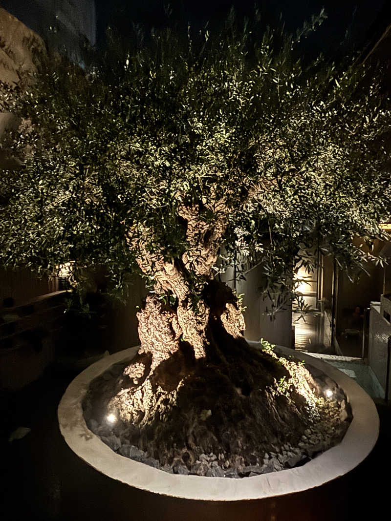 あやまとさんのsauna kolme kylä (サウナ コルメ キュラ)のサ活写真