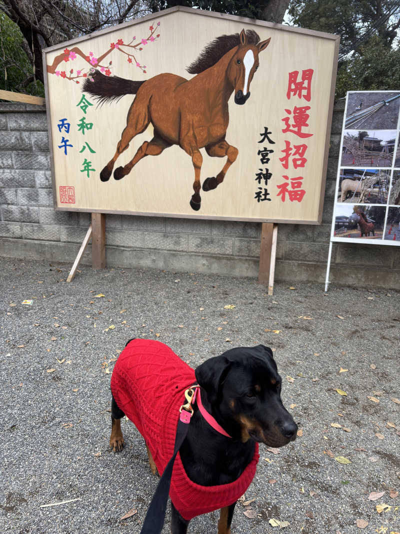 あやまとさんの癒しの里 さらい 湯の華のサ活写真