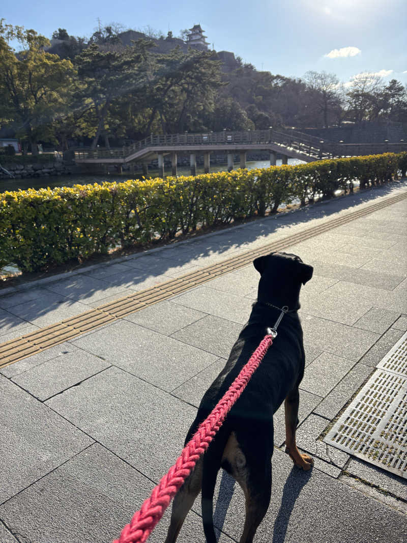 あやまとさんの丸亀ぽかぽか温泉のサ活写真