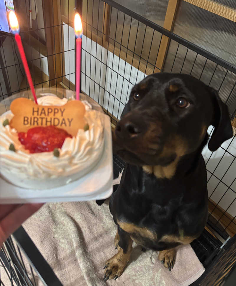 あやまとさんの癒しの里 さらい 湯の華のサ活写真