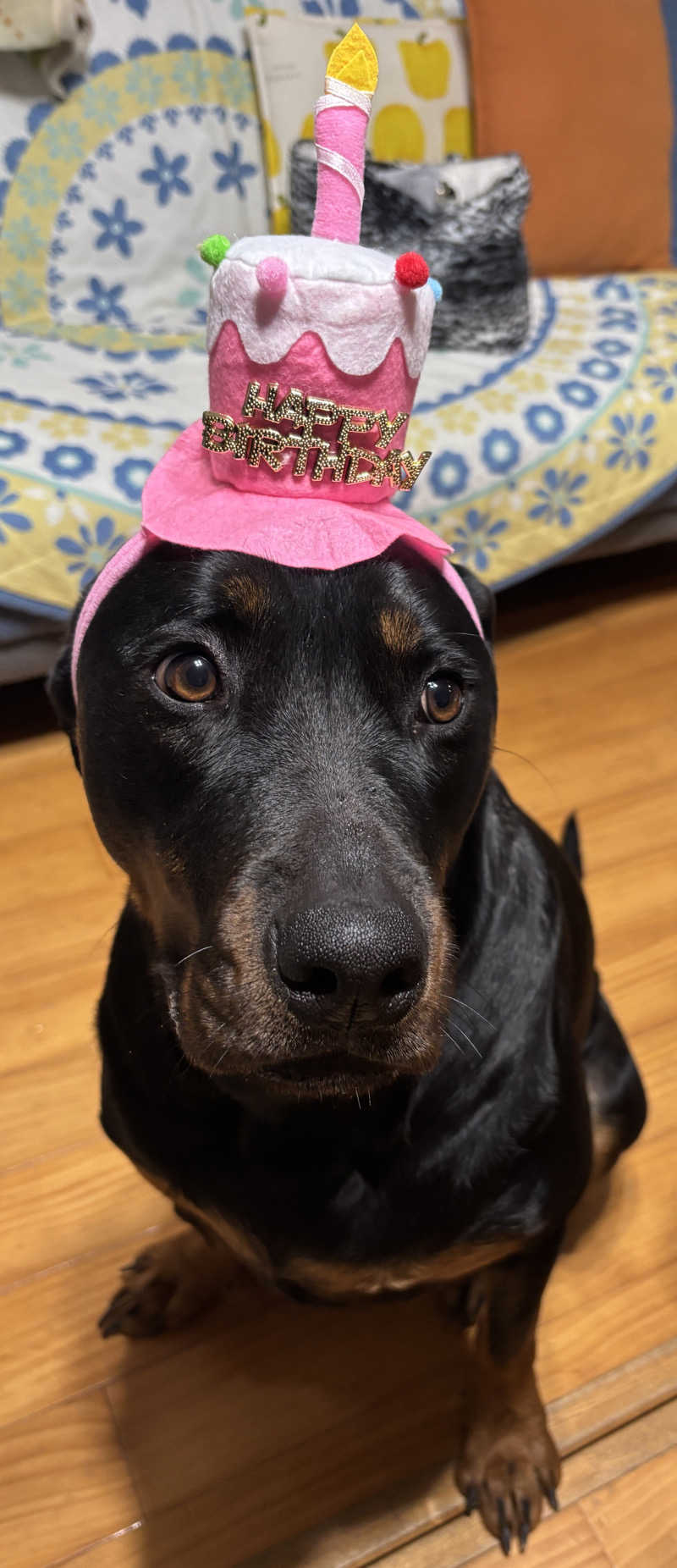 あやまとさんの癒しの里 さらい 湯の華のサ活写真