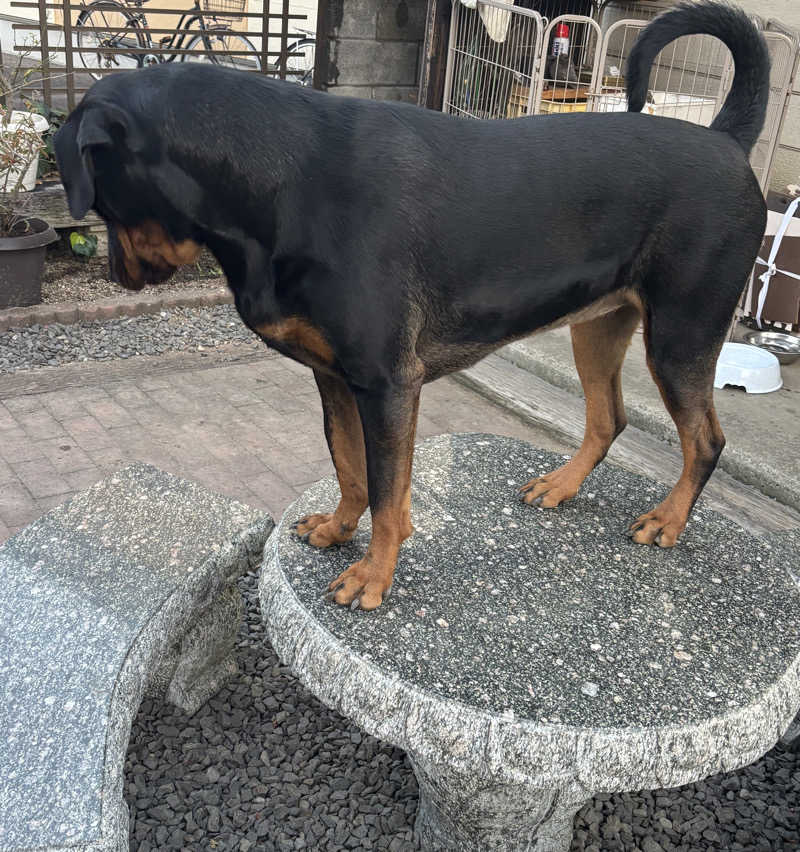 あやまとさんの癒しの里 さらい 湯の華のサ活写真