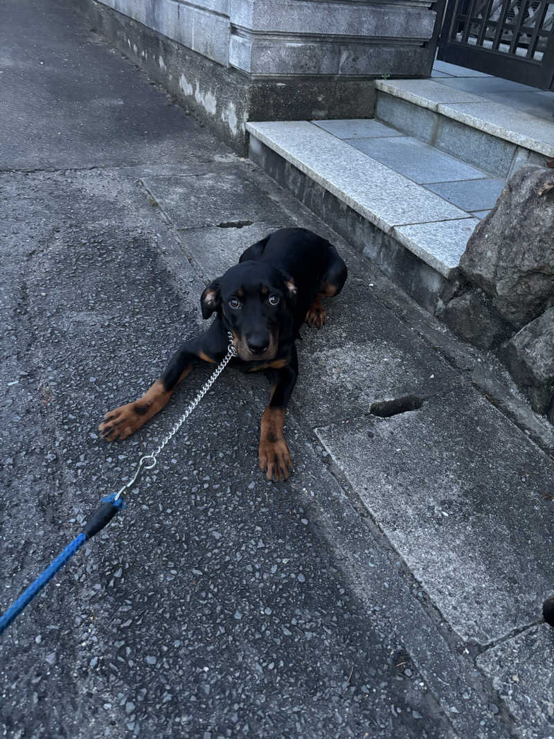 あやまとさんの癒しの里 さらい 湯の華のサ活写真