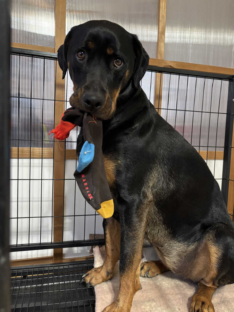 あやまとさんの丸亀ぽかぽか温泉のサ活写真