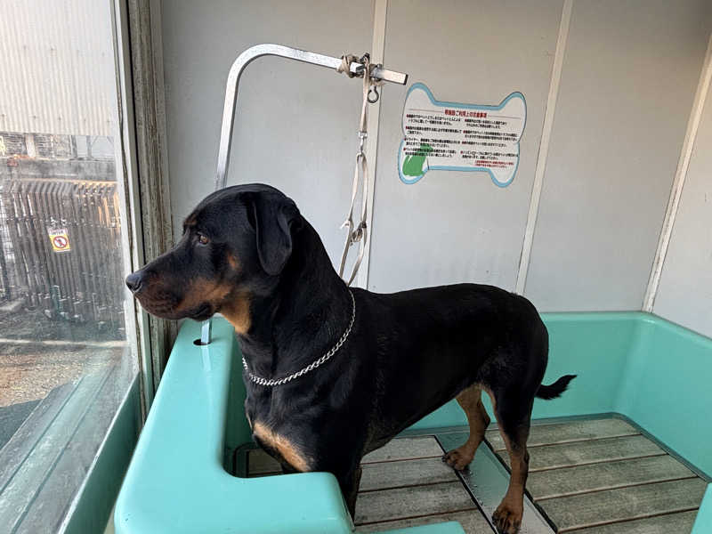 あやまとさんの丸亀ぽかぽか温泉のサ活写真