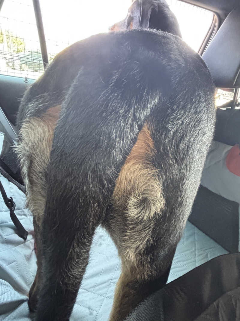 あやまとさんの丸亀ぽかぽか温泉のサ活写真