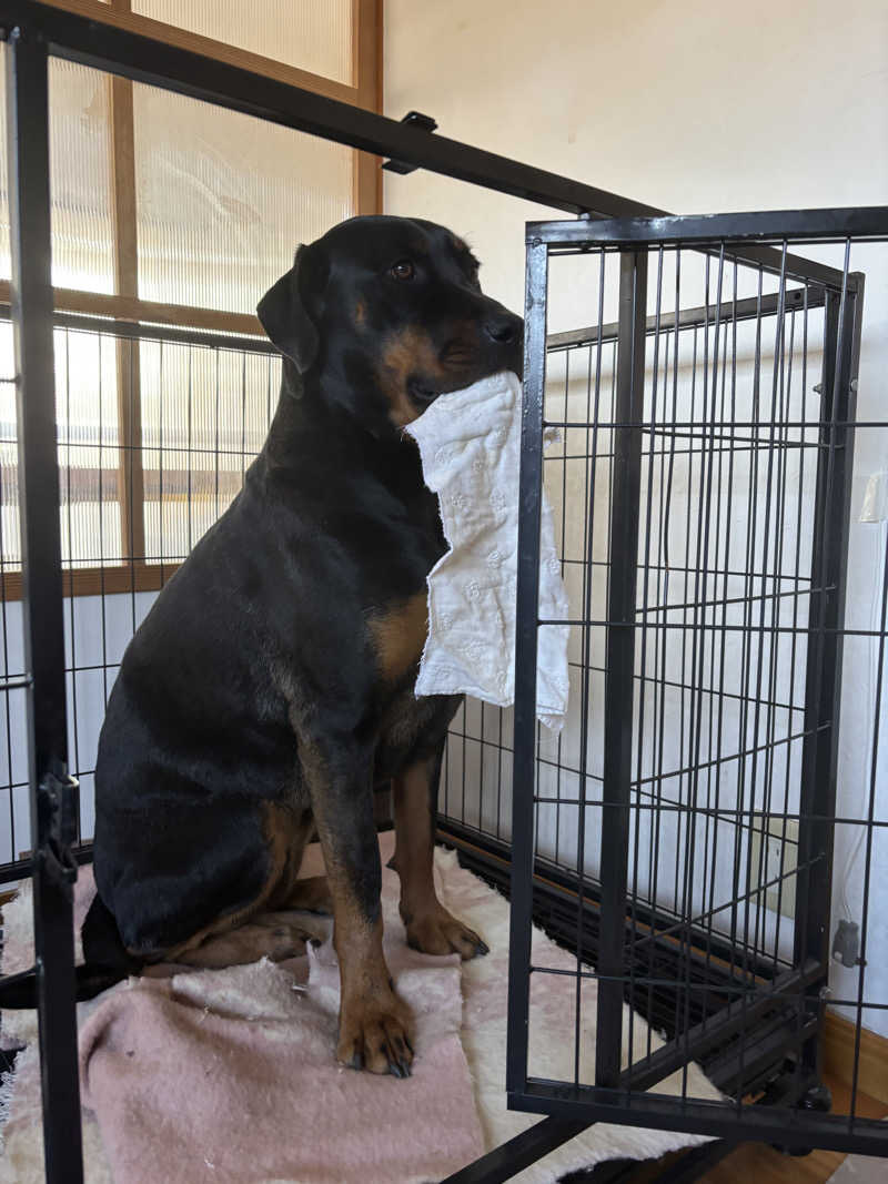 あやまとさんの瀬戸大橋四国健康村のサ活写真