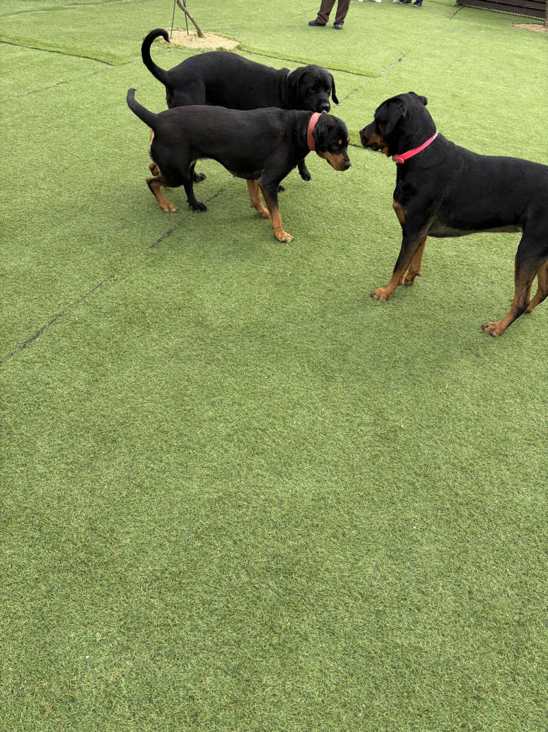 あやまとさんの丸亀ぽかぽか温泉のサ活写真