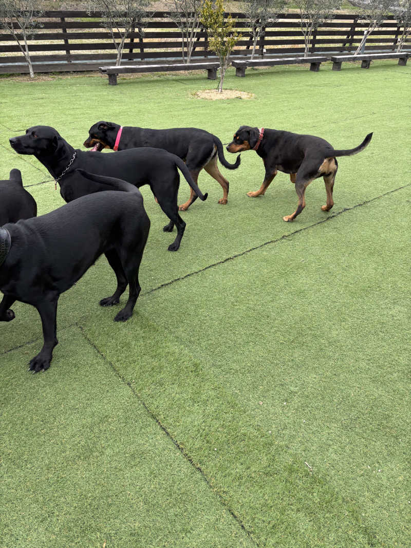 あやまとさんの丸亀ぽかぽか温泉のサ活写真