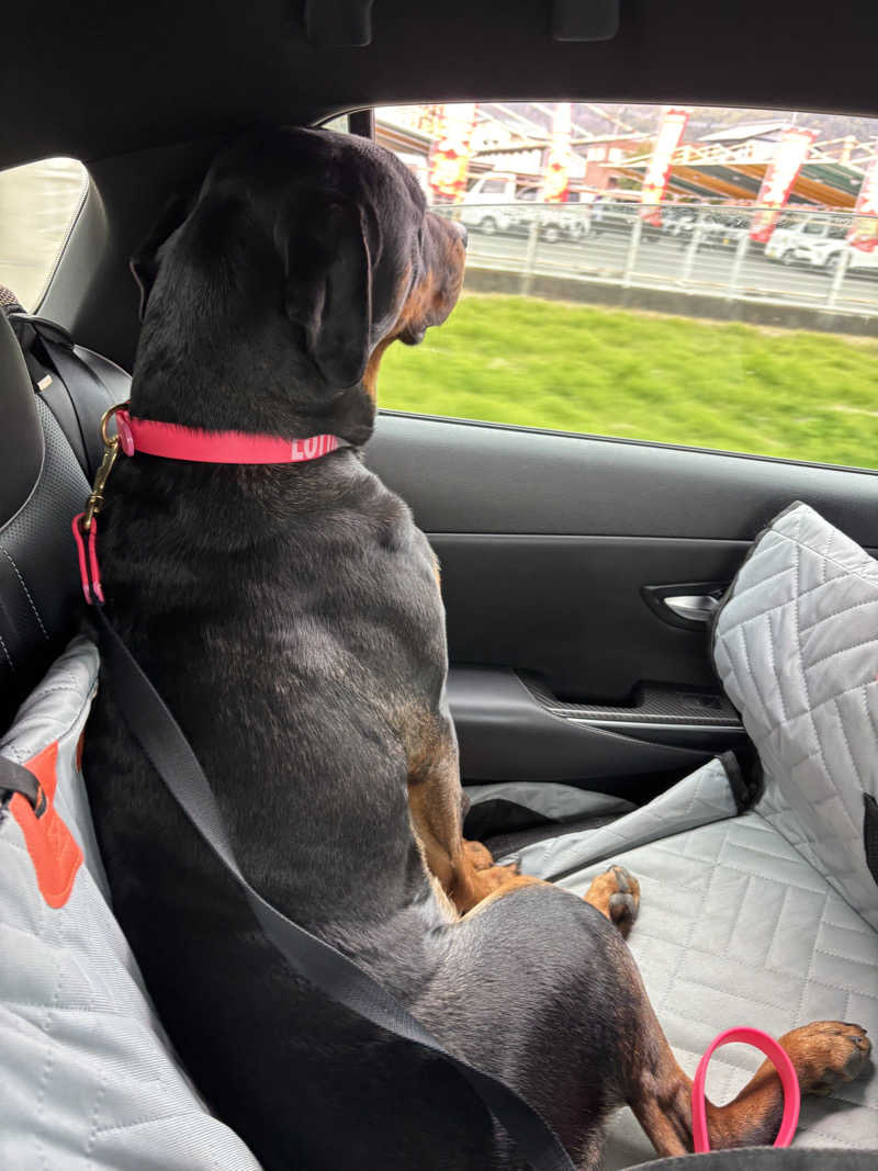 あやまとさんの丸亀ぽかぽか温泉のサ活写真