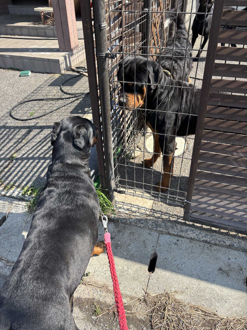 あやまとさんの丸亀ぽかぽか温泉のサ活写真