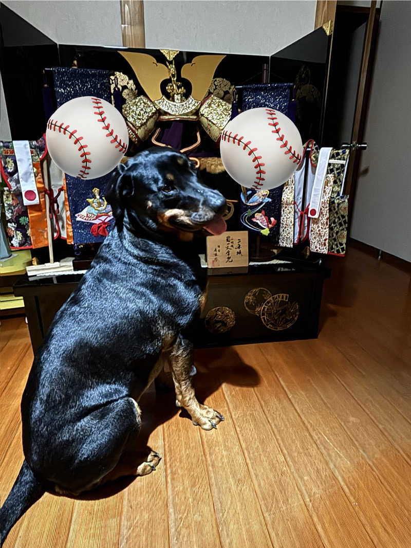 あやまとさんの瀬戸大橋四国健康村のサ活写真
