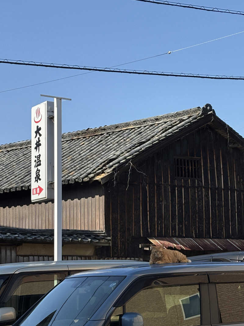 あやまとさんの大井温泉のサ活写真