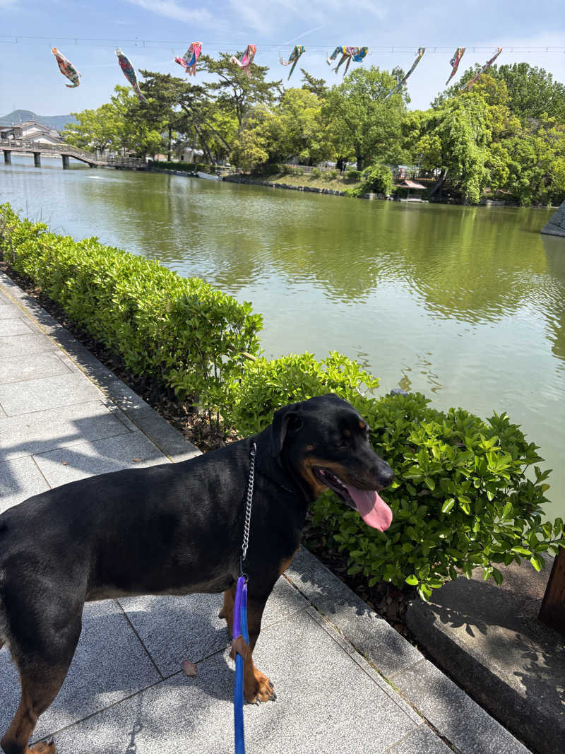 あやまとさんの大井温泉のサ活写真