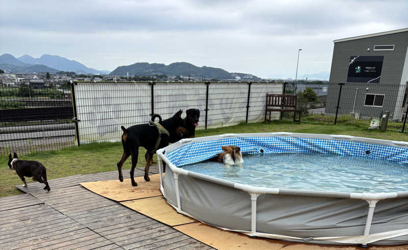 あやまとさんの丸亀ぽかぽか温泉のサ活写真