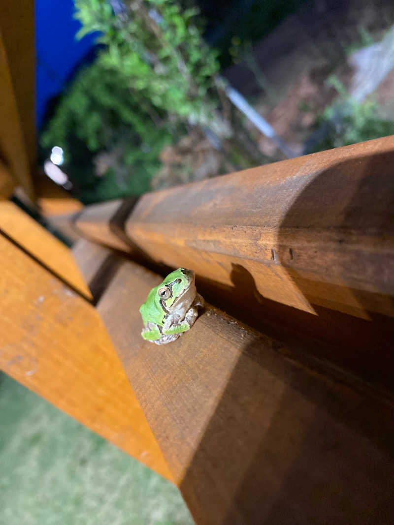 ♨️さんのサウナの森 水沼ヴィレッジのサ活写真