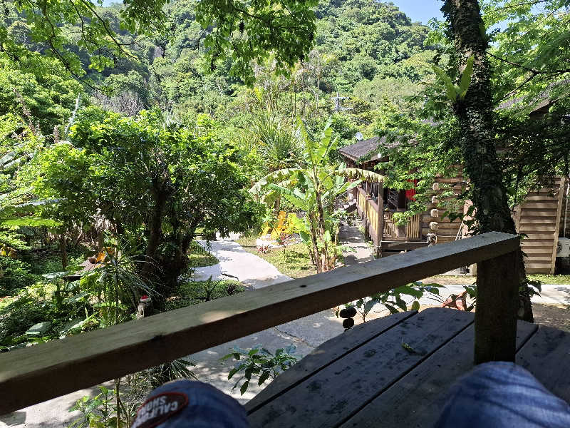 サウナステッカーコレクター通称S.S.Cさんの亜熱帯サウナのサ活写真