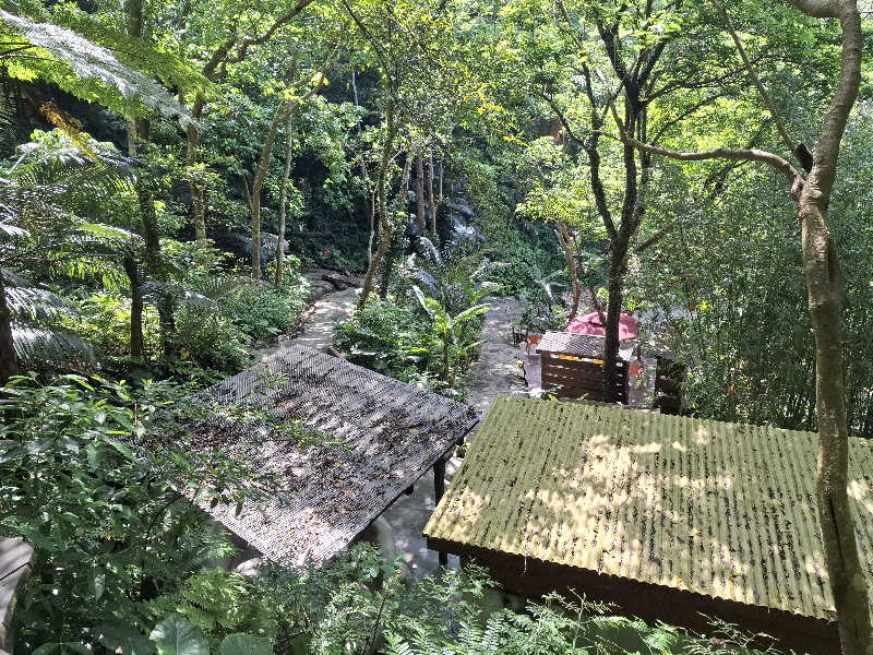 サウナステッカーコレクター通称S.S.Cさんの亜熱帯サウナのサ活写真