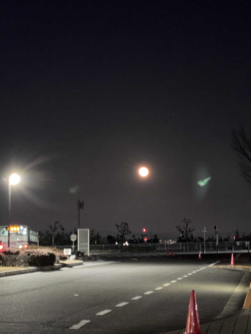 ONTANさんのあいち健康の森プラザホテル もりの湯のサ活写真