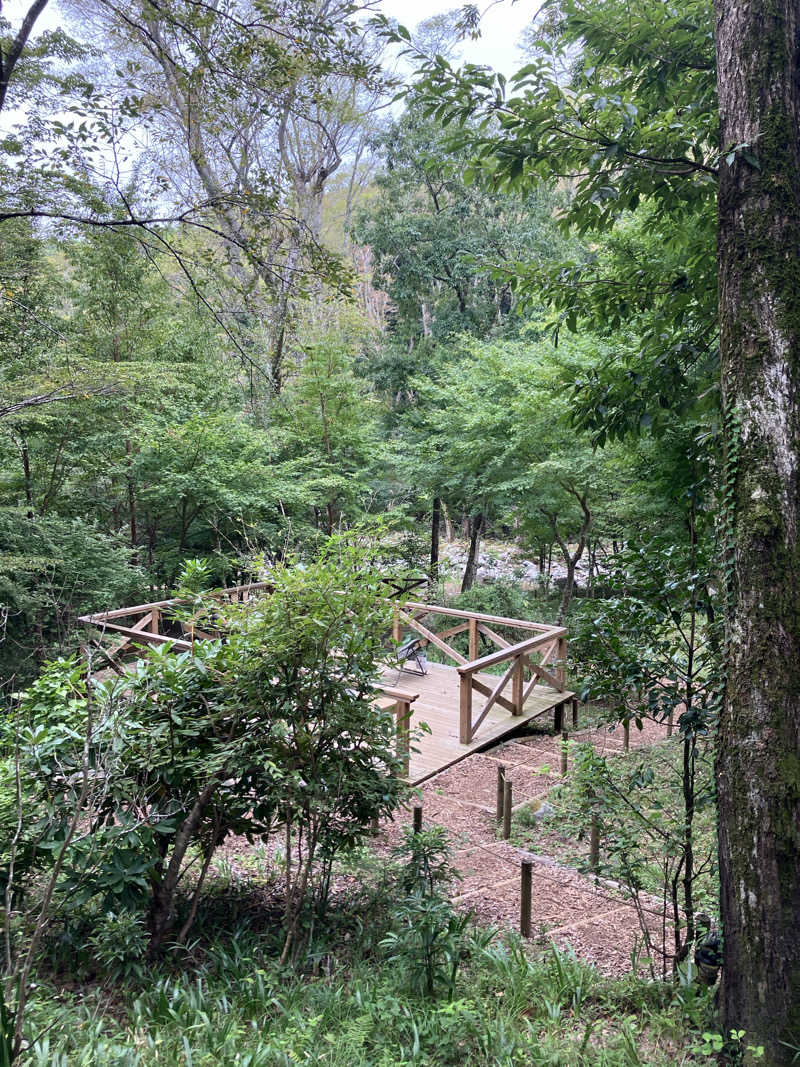 にゃんにゃんさんのモダン湯治 おんりーゆーのサ活写真