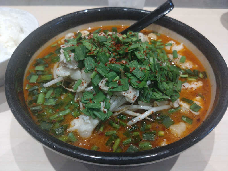 Mｒ.トシさんのふれあい交流センター大芝の湯のサ活写真