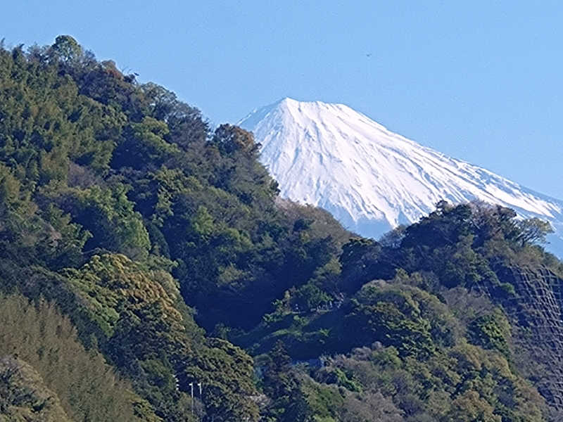 Mｒ.トシさんの駿河健康ランドのサ活写真