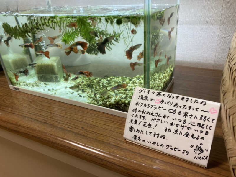 板ちゃんさんの沼木温泉 辻ヶ花のサ活写真