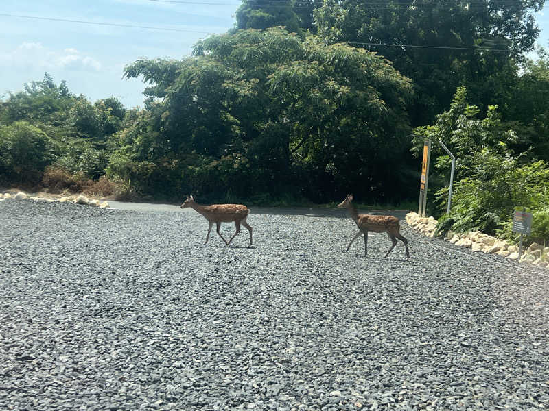 Kazu.さんの8Seas Sauna HIRA(エイトシーズサウナ比良)のサ活写真