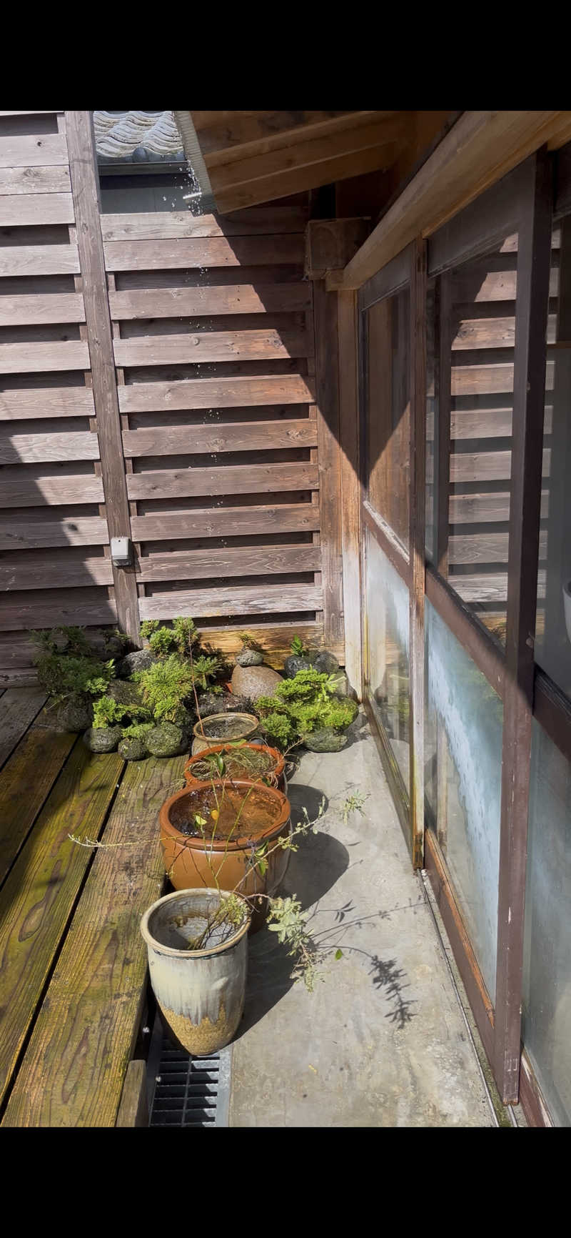 床さんの野草カフェ&サウナ 月と小屋のサ活写真