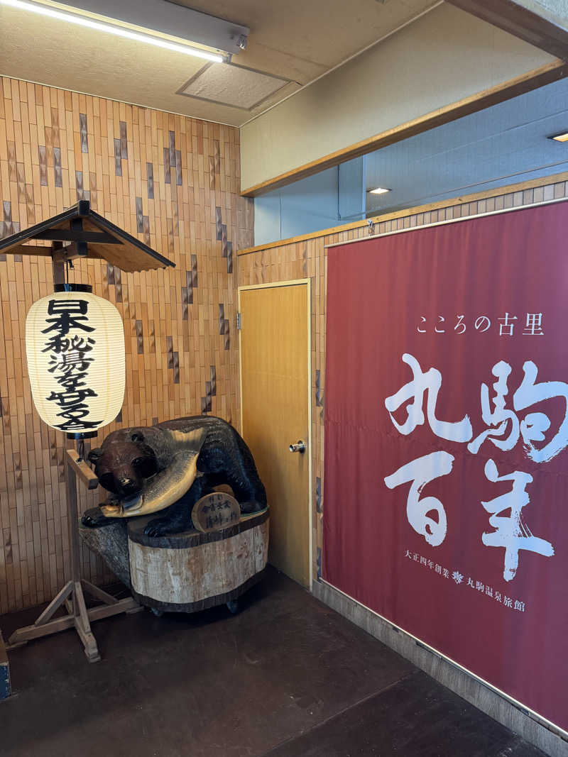 なまらサウナ好きさんの湖畔の宿支笏湖 丸駒温泉旅館のサ活写真