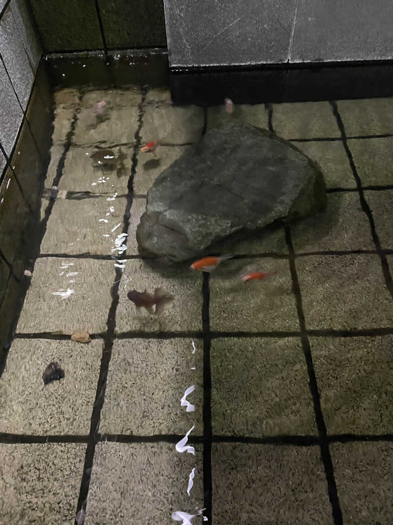 まめつぶさんのぽかぽか温泉 新守山乃湯のサ活写真