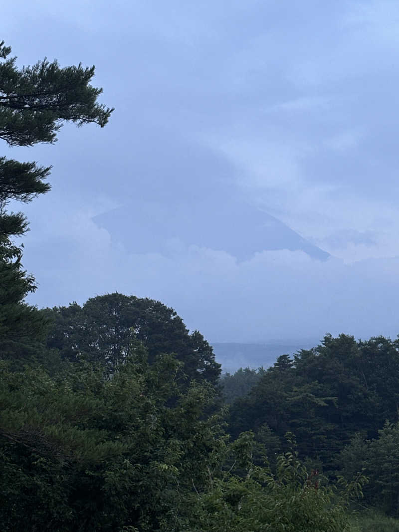 うどんダイバーさんの富士眺望の湯 ゆらりのサ活写真