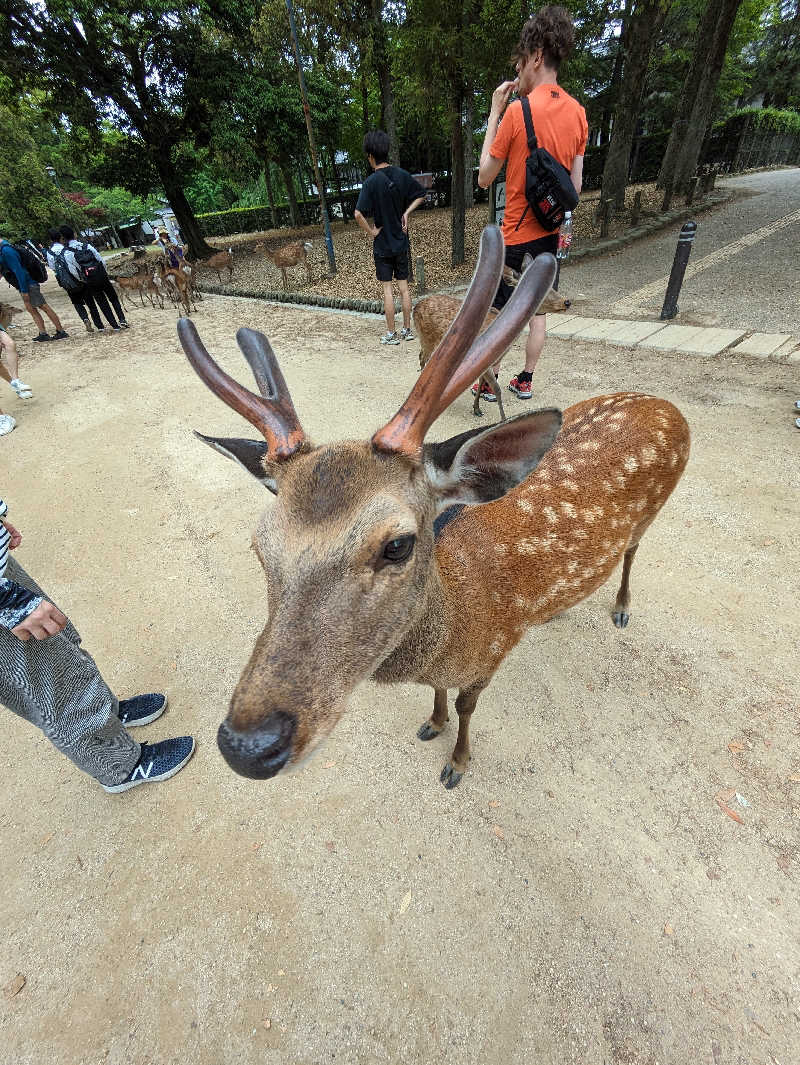 クニフロ　マコトさんのほてい湯のサ活写真