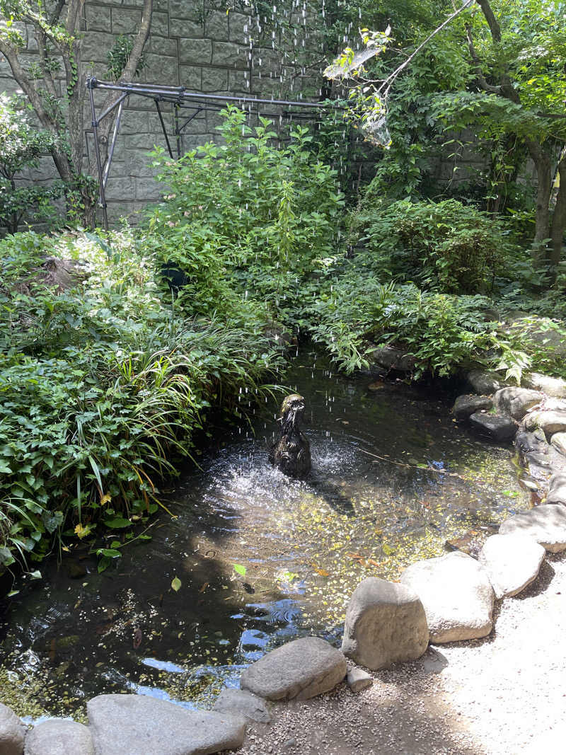うさぎくんさんの源泉湯 燈屋のサ活写真