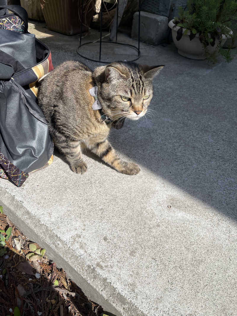 うさぎくんさんのOUSE SAUNA TUULI(OUSE Camp&Sauna TUULI内)のサ活写真