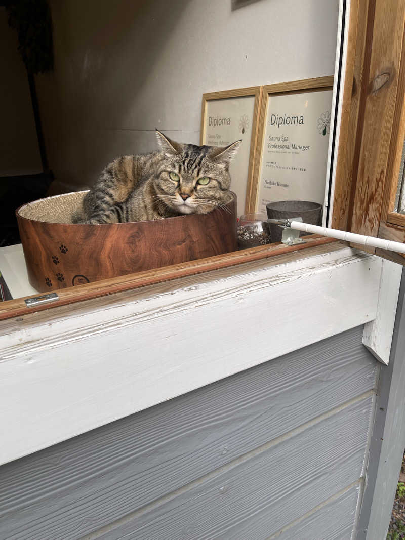 うさぎくんさんのOUSE SAUNA TUULI(OUSE Camp&Sauna TUULI内)のサ活写真