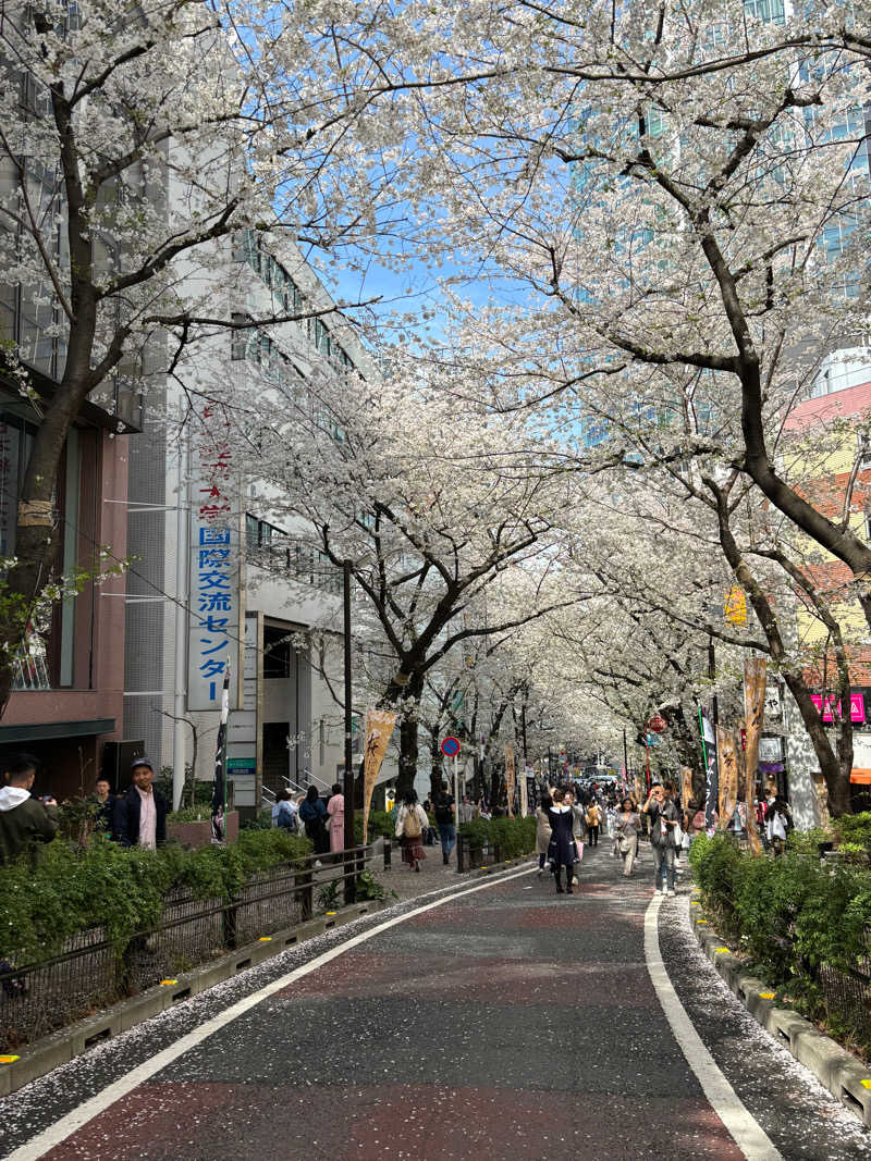 メロンパンダさんの渋谷SAUNASのサ活写真