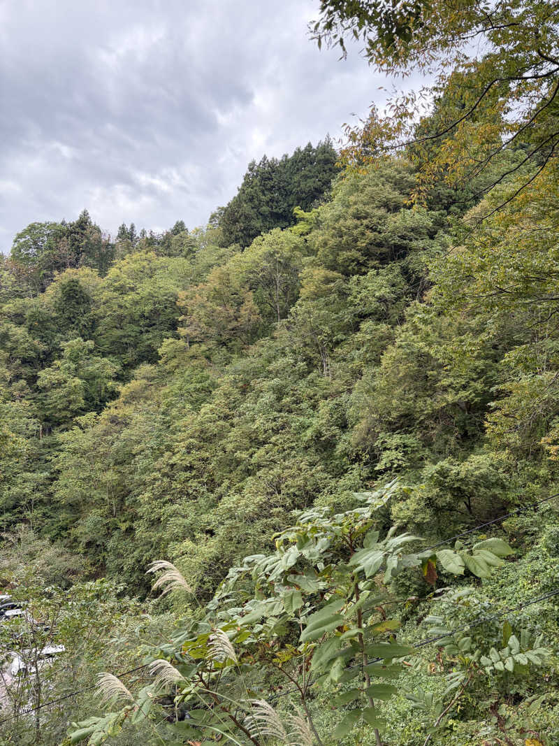 しんちゃんさんのえちご川口温泉のサ活写真