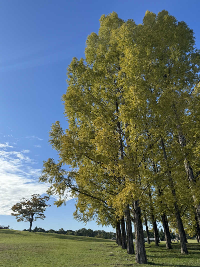 その辺のサラリーマンさんの桜花の郷 ラ･フォーレ庄原のサ活写真